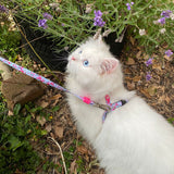 Cat Harness/Leash Set - Cherry Bloom