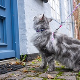 Cat Harness/Leash Set - Cherry Bloom