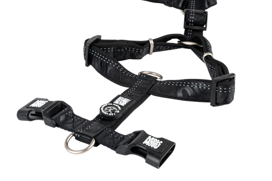 GOTCHA! Smart ID Comfort H-Harness - Matrix 2.0 Black