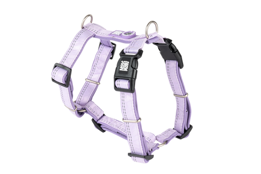 GOTCHA! Smart ID Comfort H-Harness - Matrix 2.0 Lavender