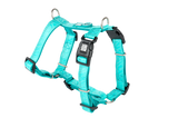 GOTCHA! Smart ID Comfort H-Harness - Matrix 2.0 Turquoise