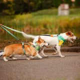 Multi Function Leash - Ducklings