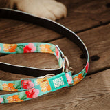 Multi Function Leash - Exotique