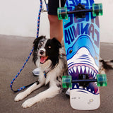 Multi Function Leash - Frenzy the Shark