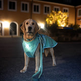 Raincoat for dogs - MATRIX 2.0 SAND