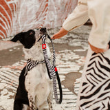 Multi Function Leash - Zebra