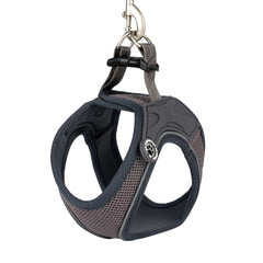 Max & Molly dog vest harness – breathable, lightweight, and ergonomic for maximum comfort and control.