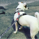 Multi Function Leash - Zebra