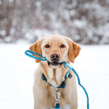 Multi Function Leash - Matrix Sky Blue