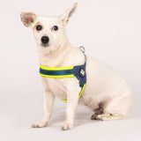 Q-Fit Harness Lime Green