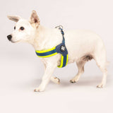 Q-Fit Harness Lime Green