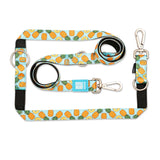 Multi Function Leash - Sweet Pineapple